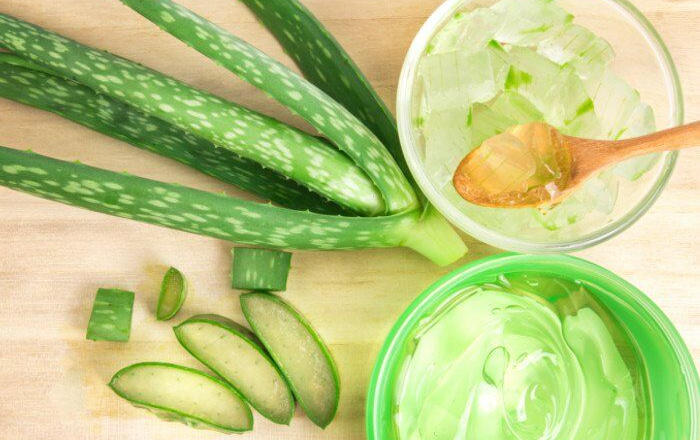 Những tác dụng bất ngờ của lô hội