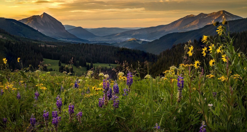 Những cánh đồng cổ tích có thật đẹp nhất trên thế giới