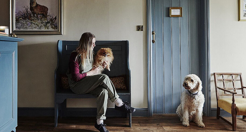 Khách sạn sang trọng dành cho chó cưng ở Anh