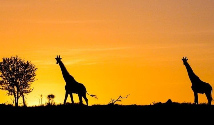 Những nơi đón hoàng hôn đẹp nhất trên thế giới