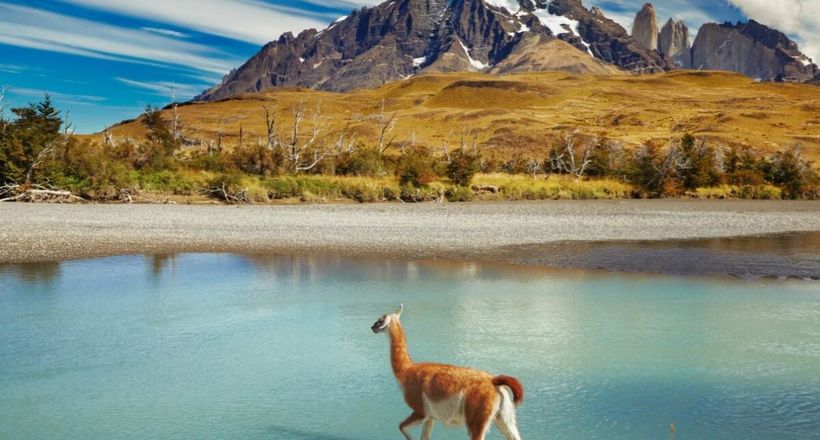 Thiên đường du lịch Chile và những điều bất ngờ thú vị