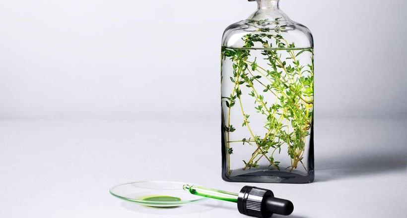 Khám phá các thương hiệu chăm sóc da thuần chay: Cho da mạnh khỏe tinh khôi