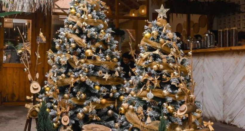 Trang trí Giáng Sinh cho căn nhà của bạn trở nên ấm áp