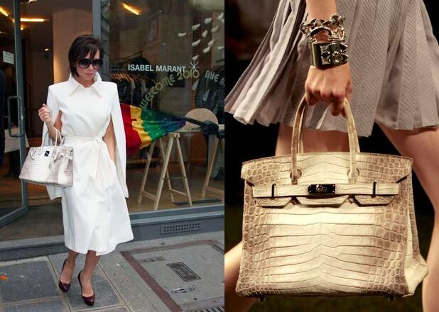 Túi Hermès da cá sấu bạch tạng - vật bất ly thân của các sao nữ hạng A
