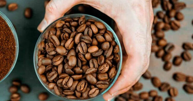 Có gì đặc biệt ở tách cà phê đắt nhất thế giới