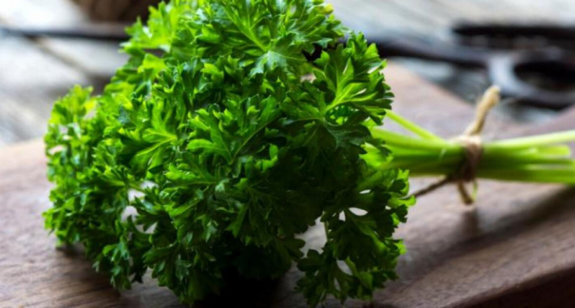 5 thực phẩm dễ kiếm giúp hơi thở thơm tho, tự tin giao tiếp