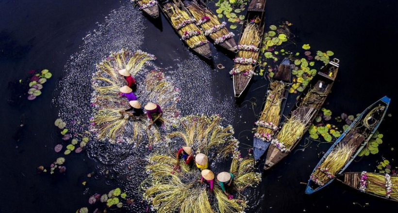 Vẻ đẹp bốn mùa ở miền sông nước Long An