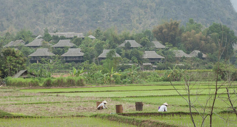 Đến Mai Châu hòa mình vào thiên nhiên núi rừng tĩnh lặng