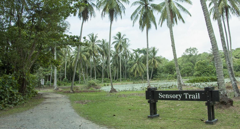 Đến Pulau Ubin “xem lại” những hình ảnh, thước phim của “ngày hôm qua”