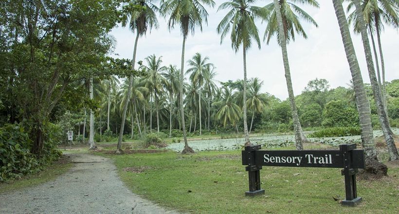 Đến Pulau Ubin “xem lại” những hình ảnh, thước phim của “ngày hôm qua”