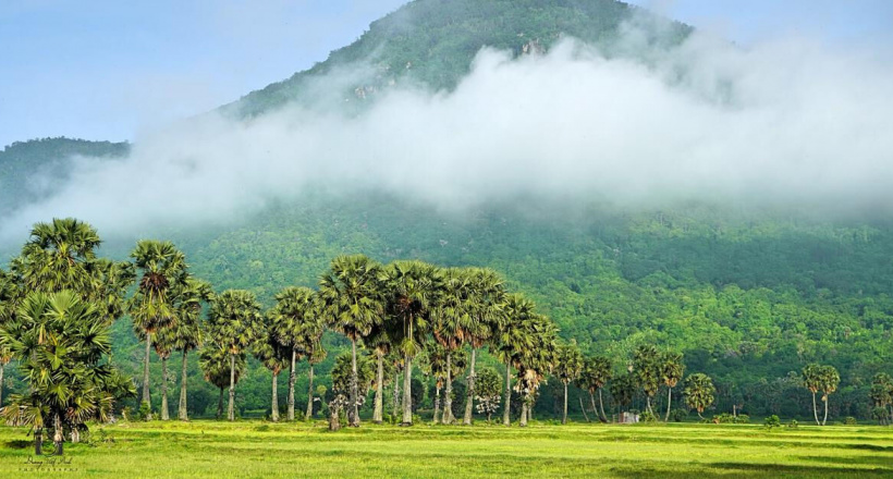 Bảy Núi An Giang - Xứ sở thốt nốt làm say lòng lữ khách