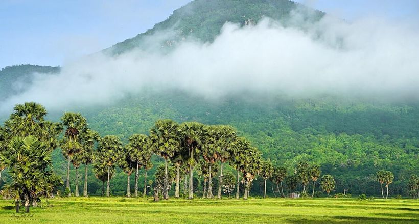 Bảy Núi An Giang - Xứ sở thốt nốt làm say lòng lữ khách