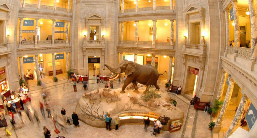 Du lịch an toàn Ngồi nhà vẫn thăm thú các bảo tàng hot nhất thế giới