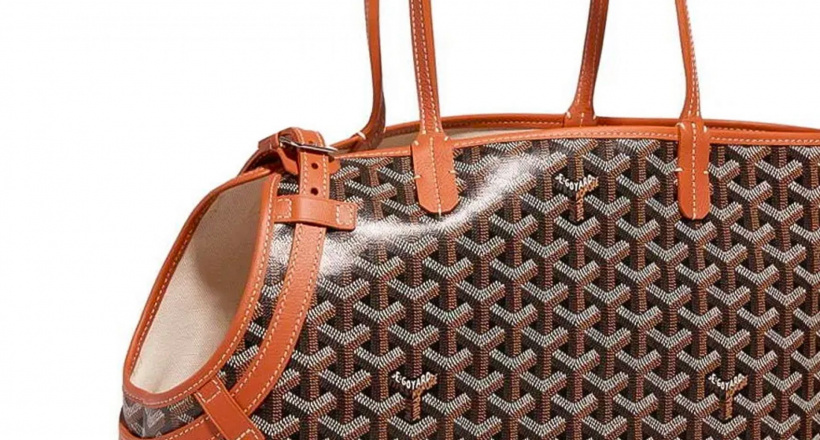 Chiếc túi Goyard biểu tượng nay đã có phiên bản dành riêng cho … thú cưng