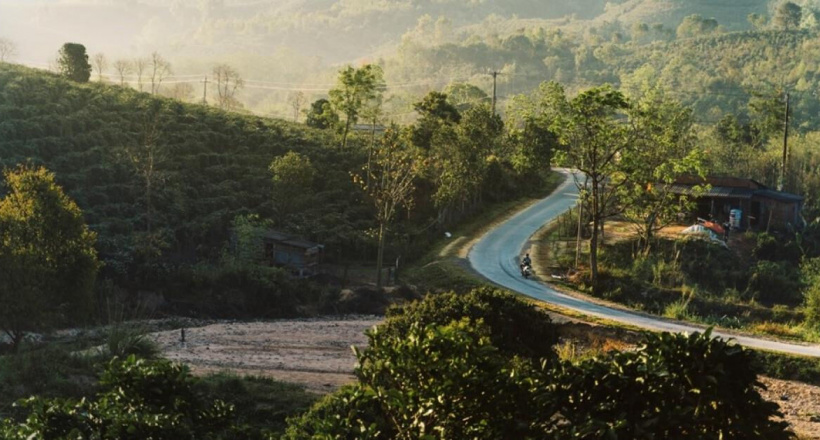 Tôi đã quên đi chính mình ở Năm Mùa Bungalows