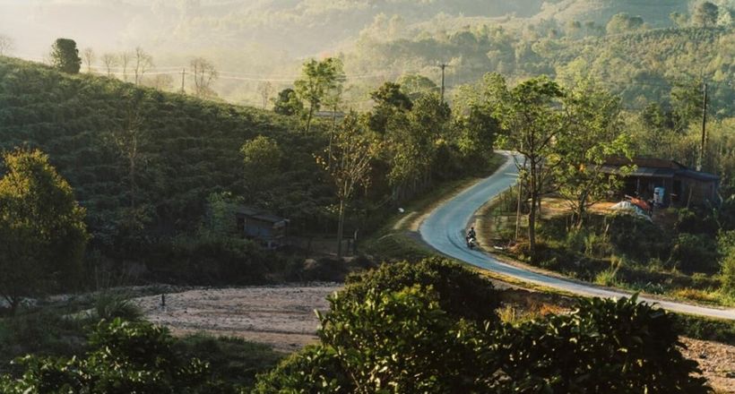 Tôi đã quên đi chính mình ở Năm Mùa Bungalows