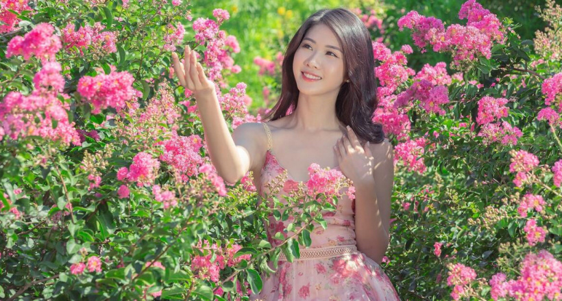 Mê mẩn đường hoa tường vi, đẹp tựa vườn thượng uyển ở trời Âu