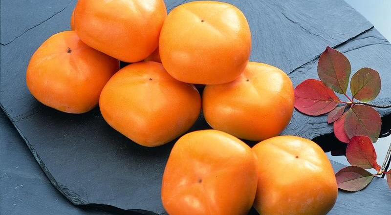 Những điều thú vị về quả hồng, loại trái cây đặc sản của mùa thu Nhật Bản