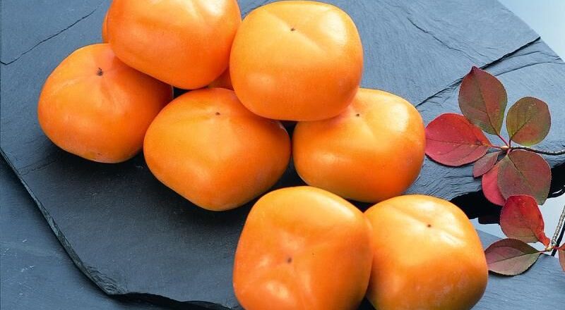 Những điều thú vị về quả hồng, loại trái cây đặc sản của mùa thu Nhật Bản
