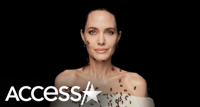 Angelina Jolie chụp hình cùng ong mà không cần mặc đồ bảo hộ