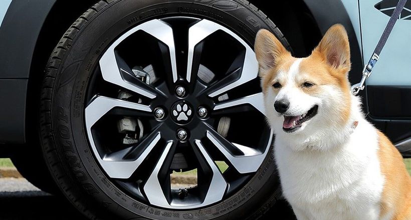 Honda phát hành phụ kiện ô tô theo chủ đề thú cưng