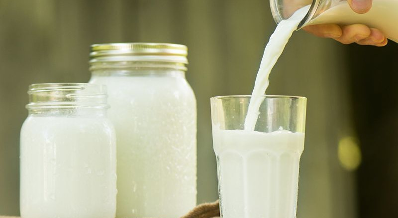 Tuyệt chiêu dùng sữa hết hạn chăm sóc khu vườn của bạn