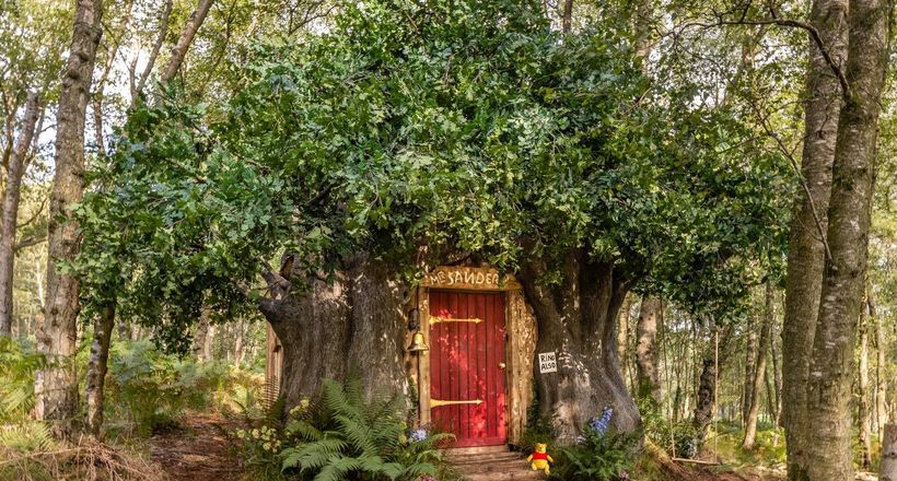 “Trải nghiệm” cuộc sống của gấu Pooh tại Airbnb