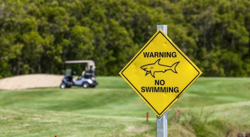 Bên trong sân golf duy nhất có hồ cá mập hung tợn nguy hiểm nhất thế giới