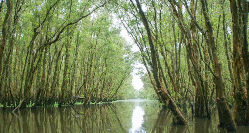 Mùa nước nổi ở An Giang - mùa đẹp nhất của năm