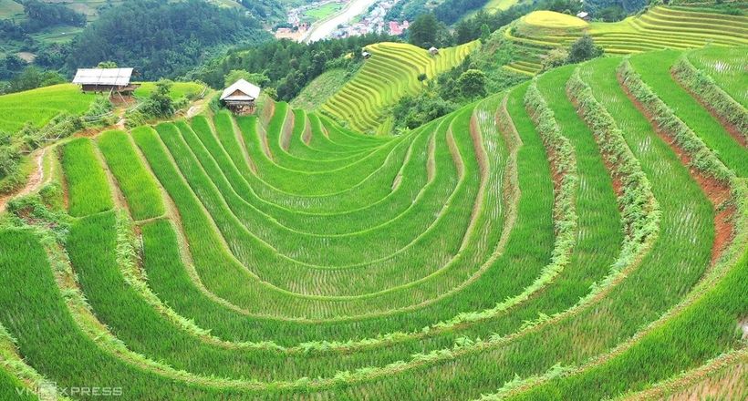 Những sóng lúa xanh cuốn hút du khách mỗi mùa thu về