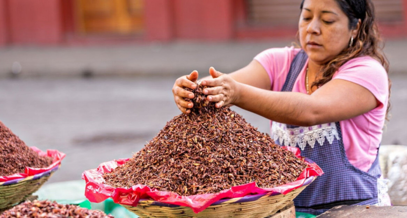 Những món ăn độc lạ nên thử khi đển Mexico