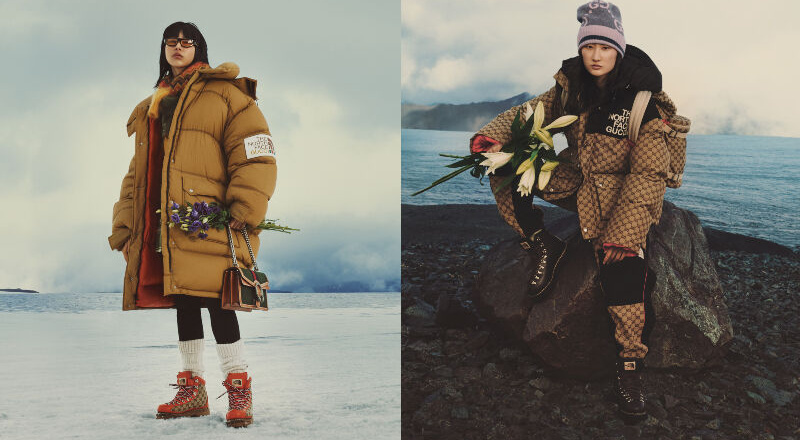 The North Face X Gucci: BST collab "Chương 2" bước vào một thế giới cổ tích sống động