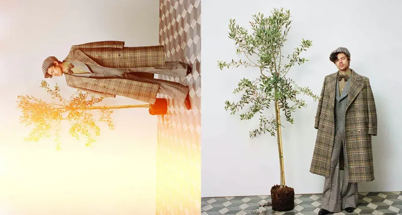 Bộ ảnh Harry Styles x Gucci HA HA HA thế giới vui tươi của nam giới