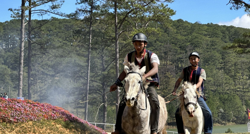 Lâm Đồng: Sôi nổi giải đua ngựa không yên