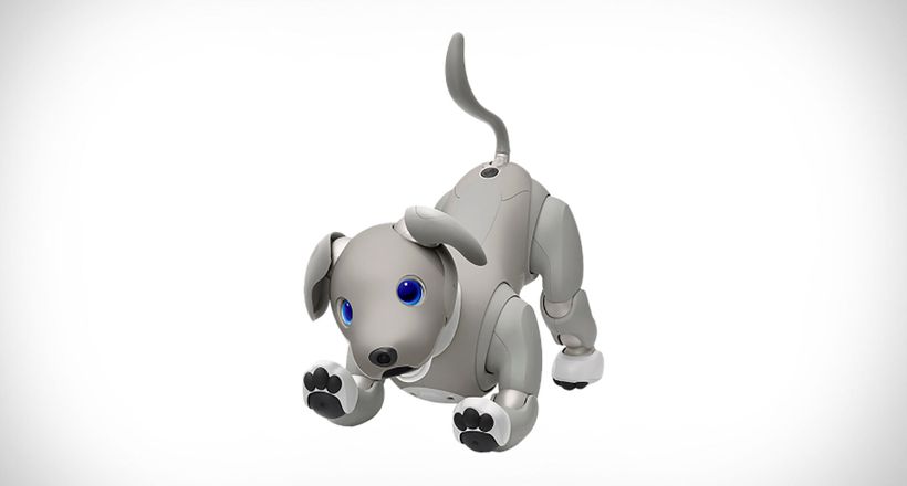 Sony ra mắt chú chó Robot Aibo phiên bản giới hạn