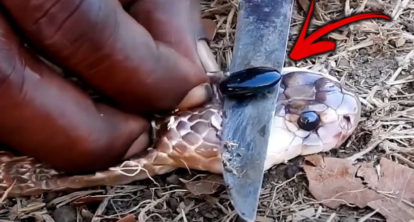 12 Viên đá hiếm và đắt nhất Thế Giới, không thể tìm thấy viên thứ 2.