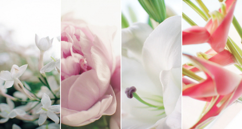 Câu chuyện dược phẩm làm đẹp từ hoa của các thương hiệu cao cấp