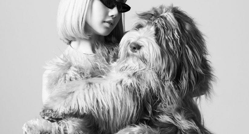 Celine ra mắt dòng phụ kiện dành cho thú cưng