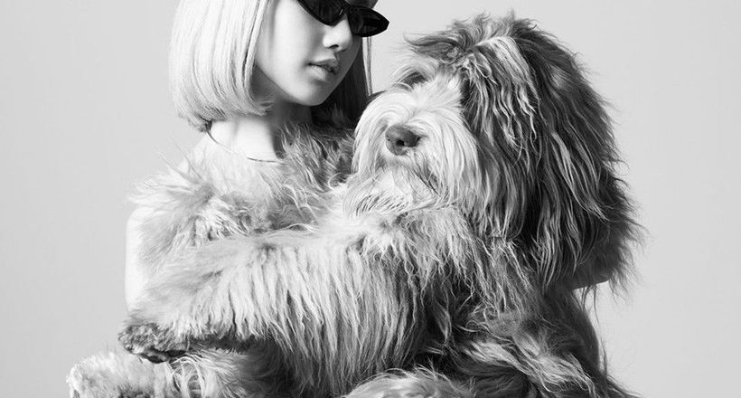 Celine ra mắt dòng phụ kiện dành cho thú cưng