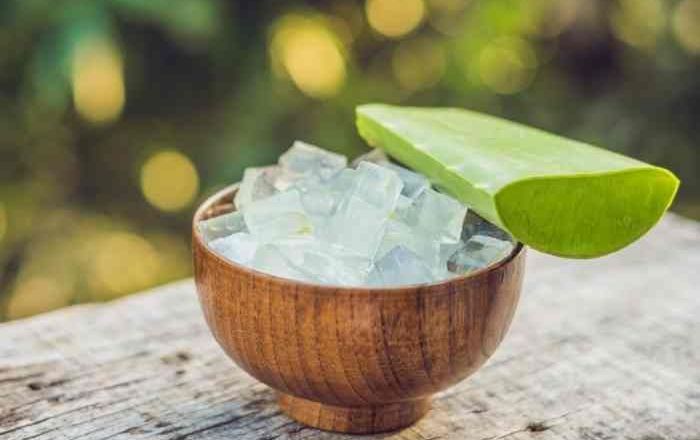 Lô hội - Phương pháp chữa cháy nắng vô cùng nhanh chóng và hiệu quả