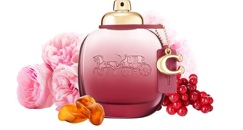Coach Wild Rose - Mùi hương mang tinh thần tự do phóng khoáng