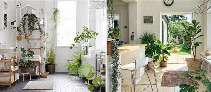 Những gợi ý để biến không gian sống của bạn thêm thú vị!