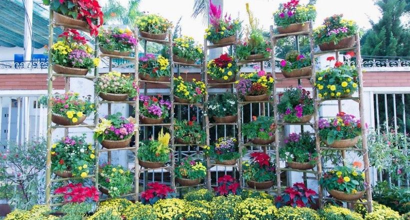 Nghệ An: Những hoạt động chào mừng Xuân Quý Mão 2023