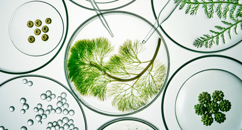 Khám phá thương hiệu chăm sóc da thuần chay phù hợp với loại da