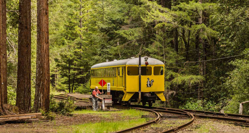 Quán bar Glen Blair của California nằm giữa rừng Redwood
