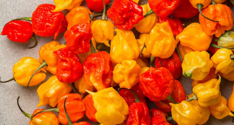 Tìm hiểu Pepper X - loại ớt mới cay nhất thế giới có gì thú vị nhé!