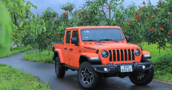 Jeep triệu hồi loạt xe Wrangler và Gladiator do lỗi camera và đèn cảnh báo lùi