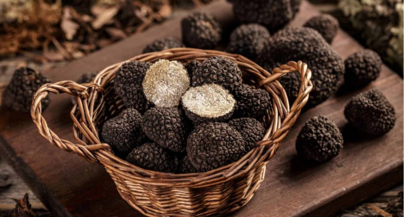 Đưa Món Ăn Lên Một Tầm Cao Mới Với Hương Vị Của Nấm Truffle
