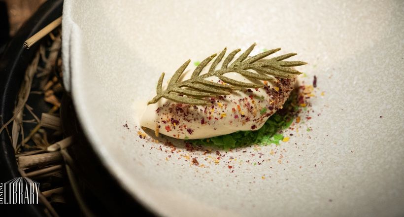 Nỗi lòng gửi quê hương thứ hai của Chef Summer Le