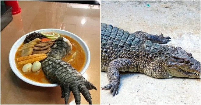 "Độc lạ Đài Loan" với món mì ramen chân cá sấu